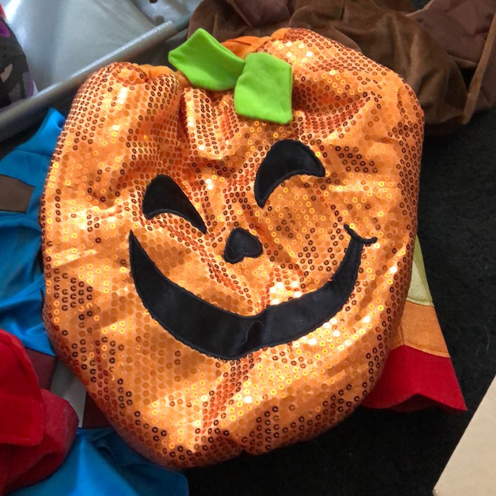Dog Halloween costume large